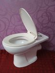 Продам унитаз и бачёк к нему без крышки-смотреть галерею.