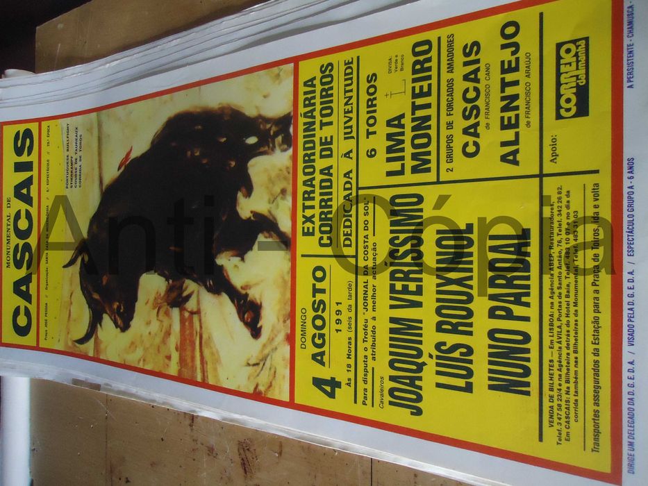 Toiros - Cartazes de Montra 8