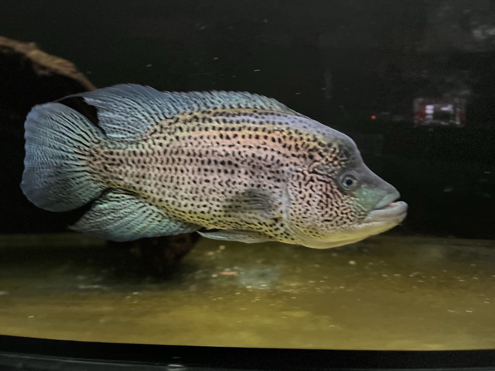 Akwarium 780L caly zestaw