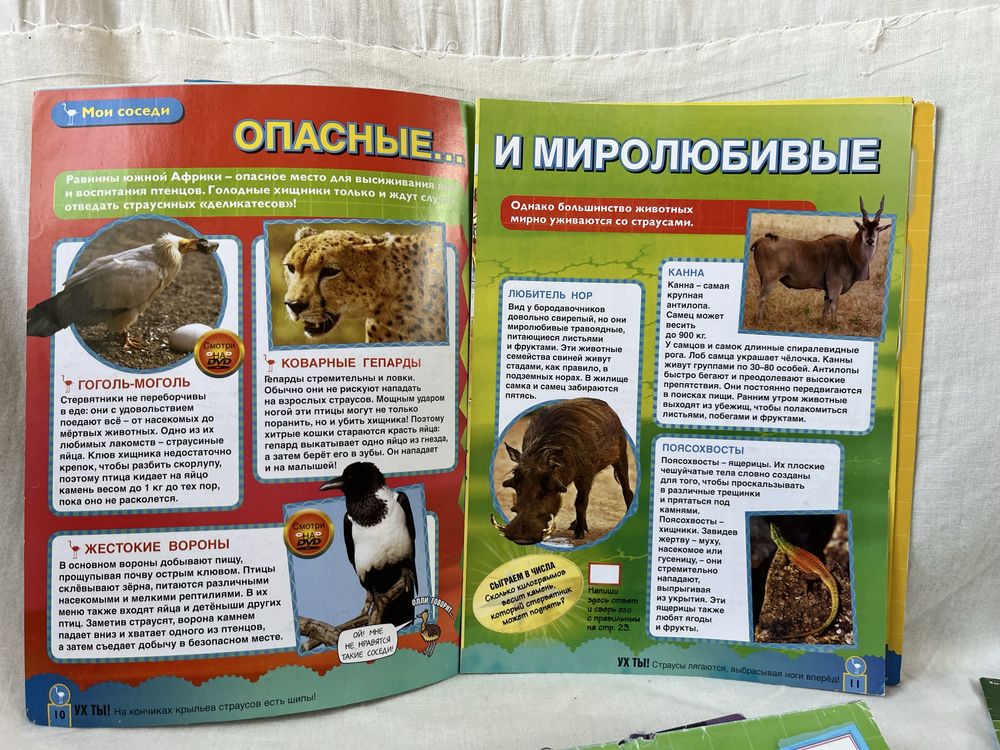ТВОИ ДРУЗЬЯ ЗВЕРЯТА. Журналы про животных. Животные журнал, книга