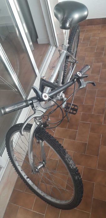Bicicleta Adulto