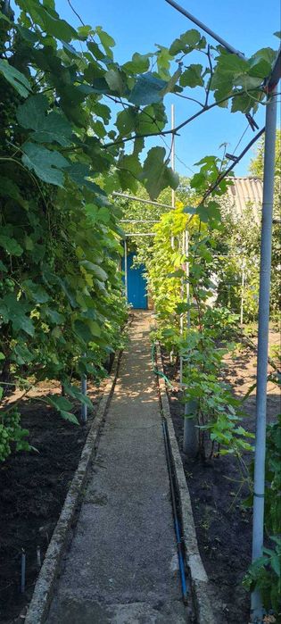 Садовий будинок у районі Цегельного Заводу