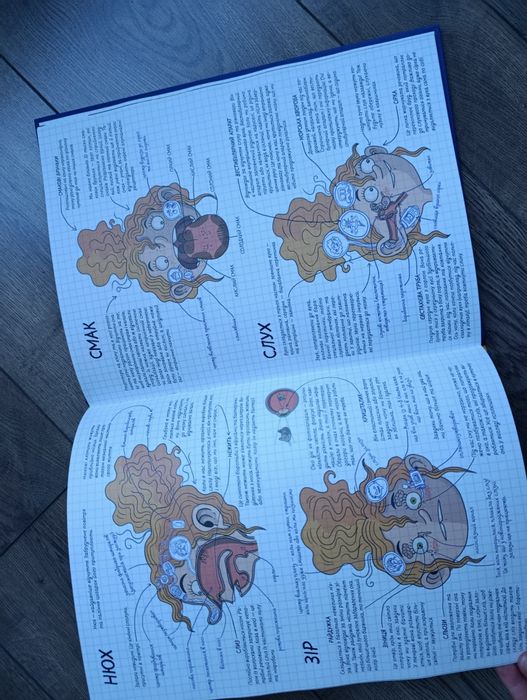 Книга дитяча Як це працює? Тіло людини. Ніколя Кухарська