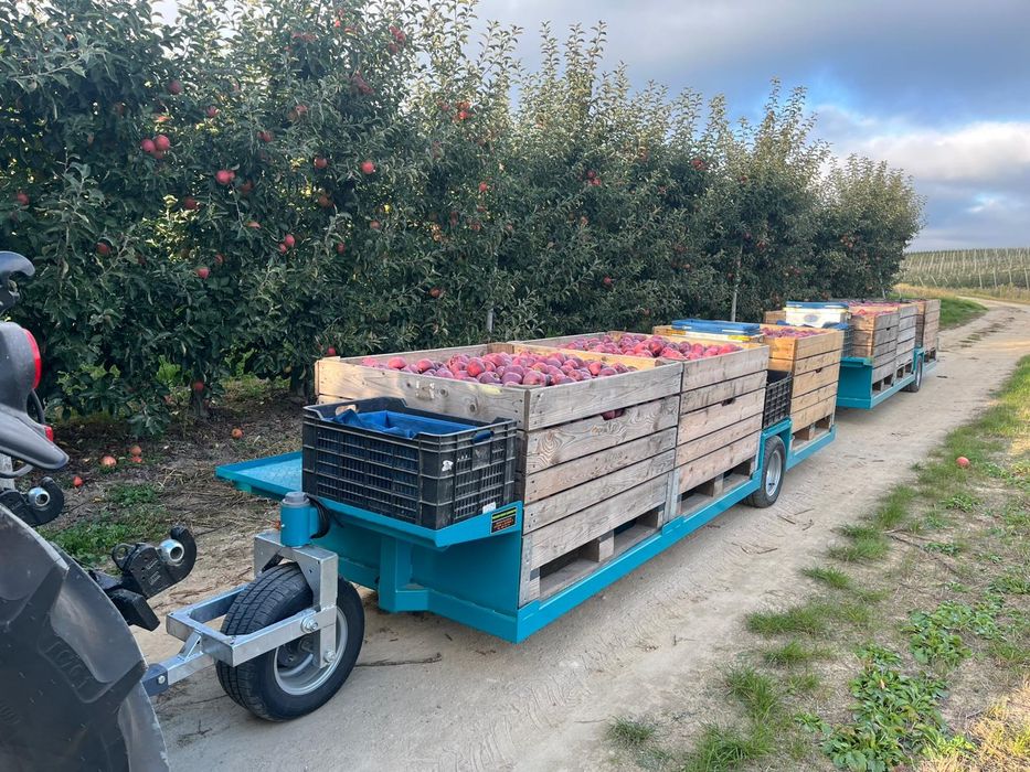 Wózek Sadowniczy Sadownicza W-3P/3