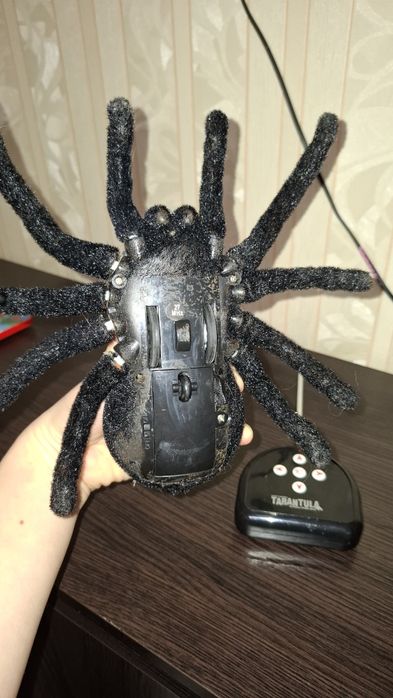 Павук на пультів управління