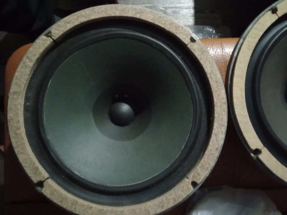 BEAG HX 301 рідкісні раритетні динаміки