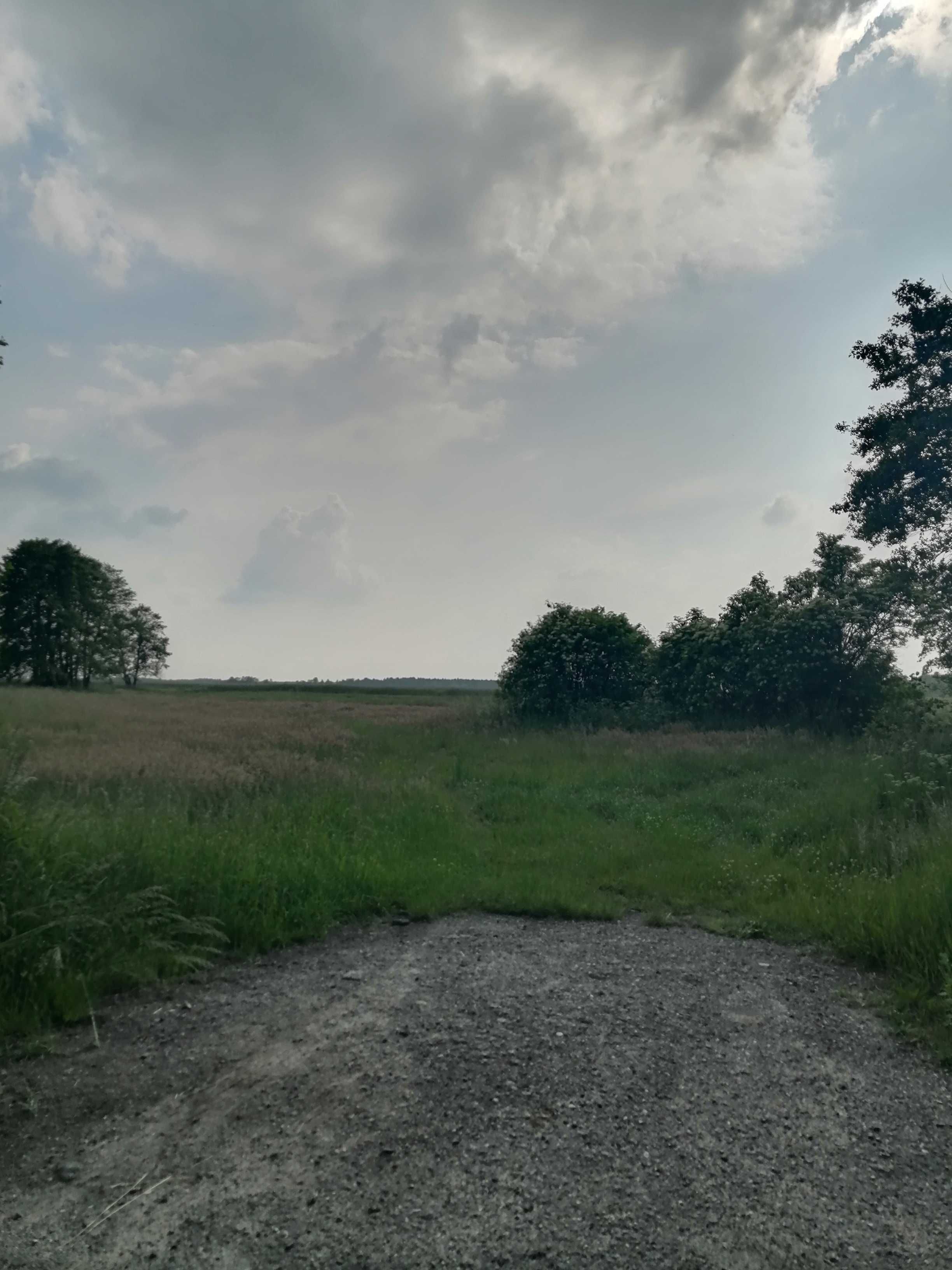 Działka 9870 m2, pow. zgierski, szeroki front.
