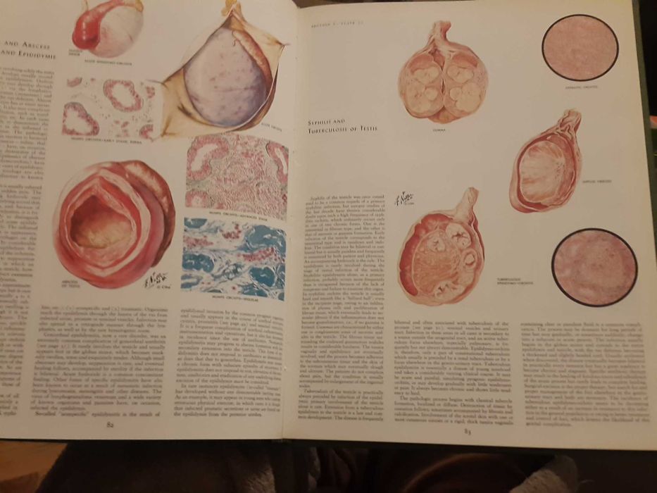 The Ciba Collection of Medical Illustration - 2. Reproductive System