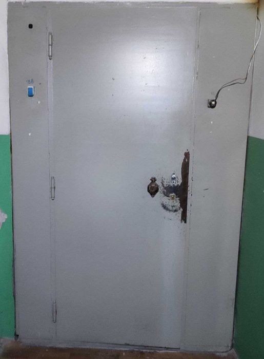 Металеві двері для тамбура, гаража, сарая