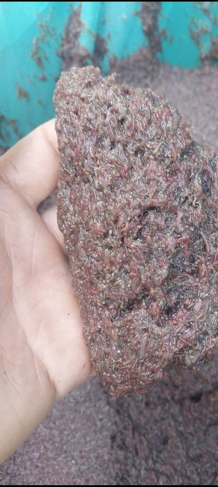 Продам мясо Артемии. 400гр -1кг.