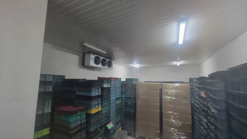 Шокова заморозка полуниці, чорниці, малини (Славута, Шепетівка)