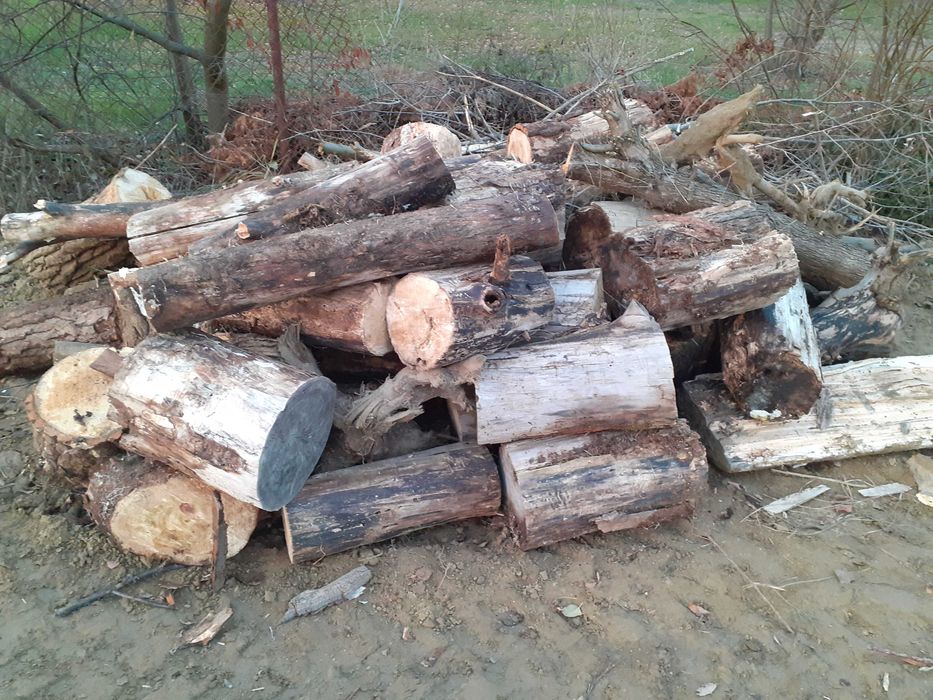 suche drewno - piec kominek 12mp - liściaste topola osika po 95 zł/ mp