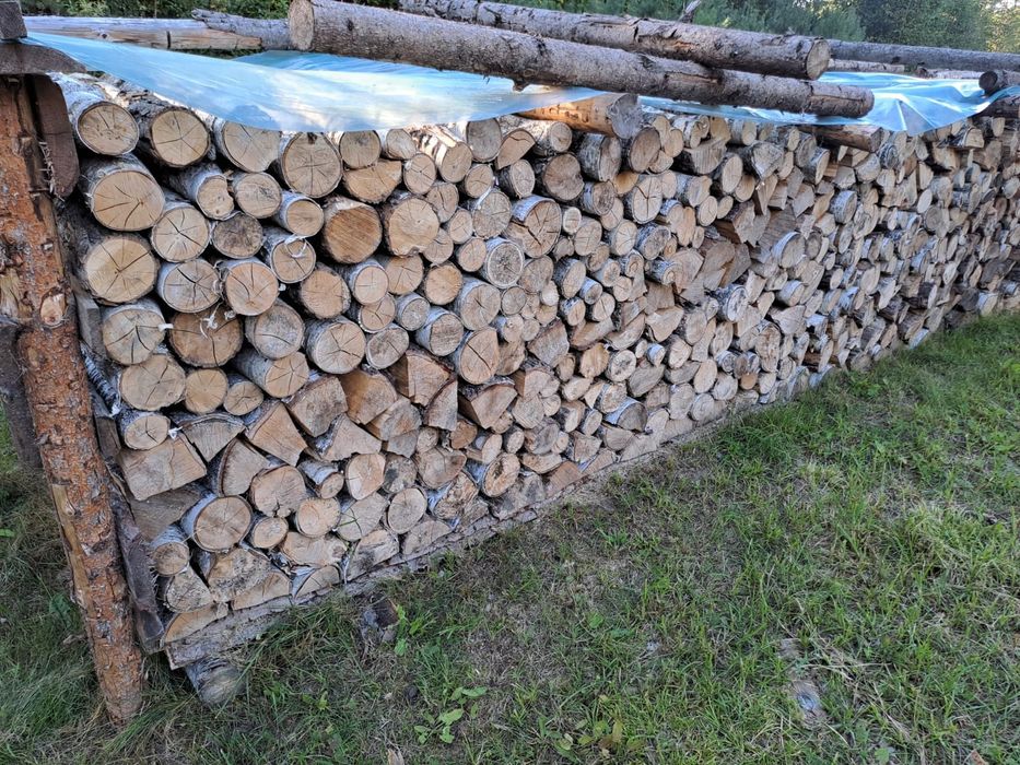 Drewno  sosna świerk olcha brzoza