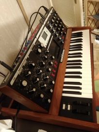 Moog Minimoog Voyager syntezator analogowy