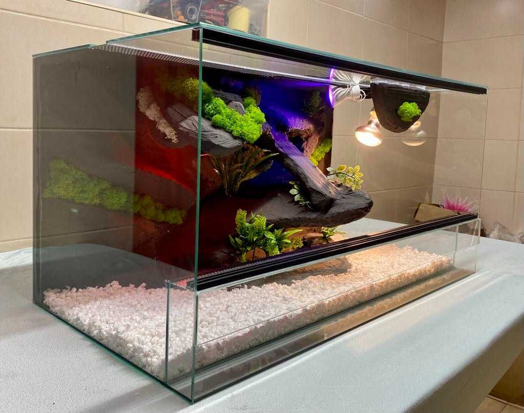 Nowe Terrarium 80x40x40 Gekon Lamparci, Jaszczurka