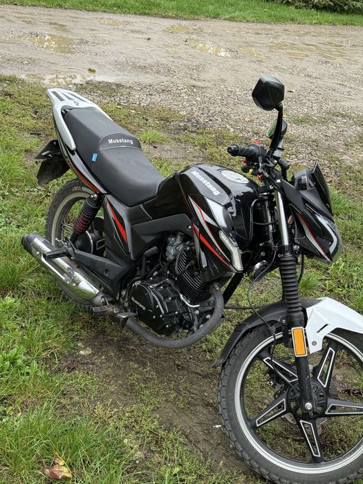 Musstang fortuna 200