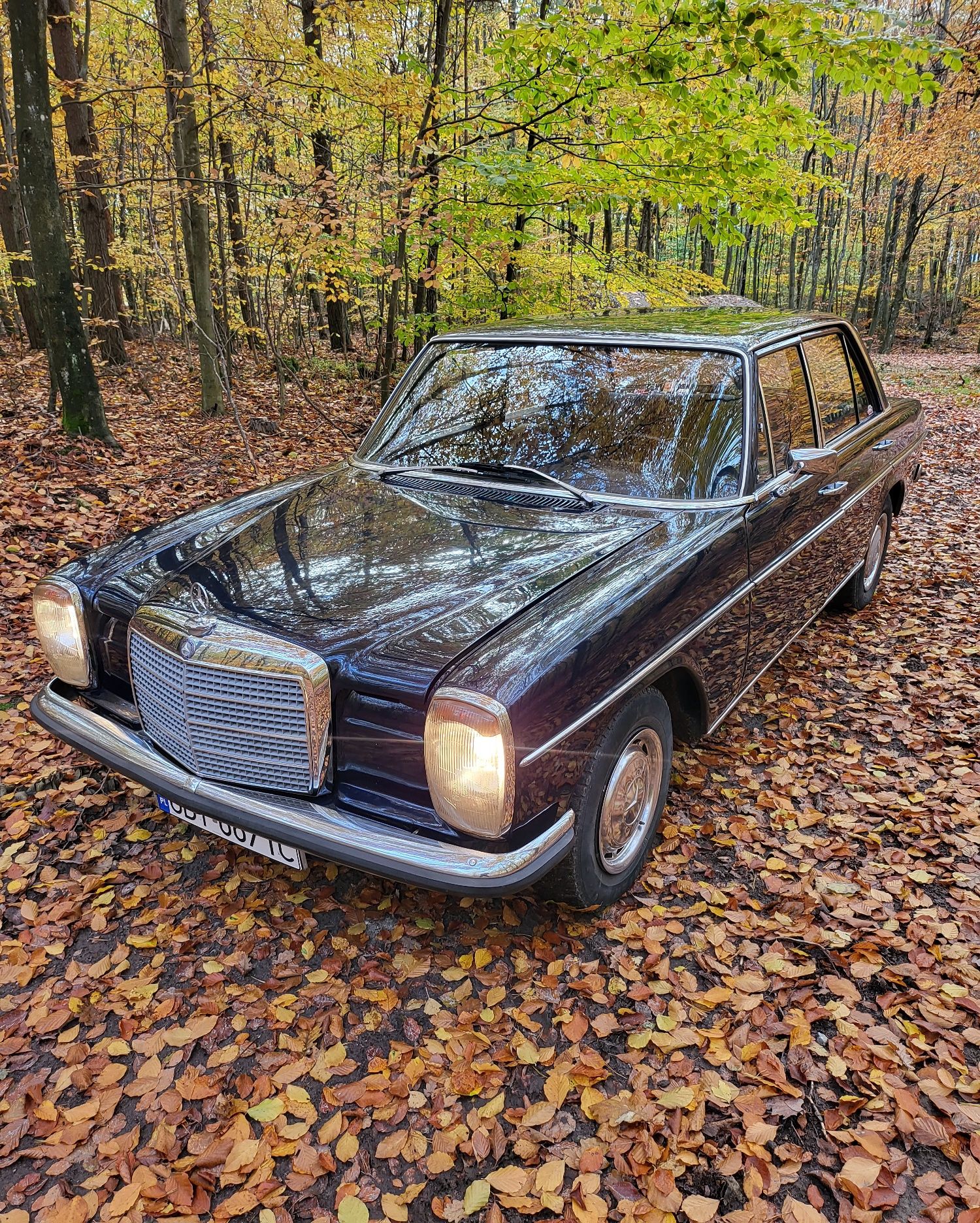 Auto do ślubu Mercedes, limuzyna ,retro, classic - wesele