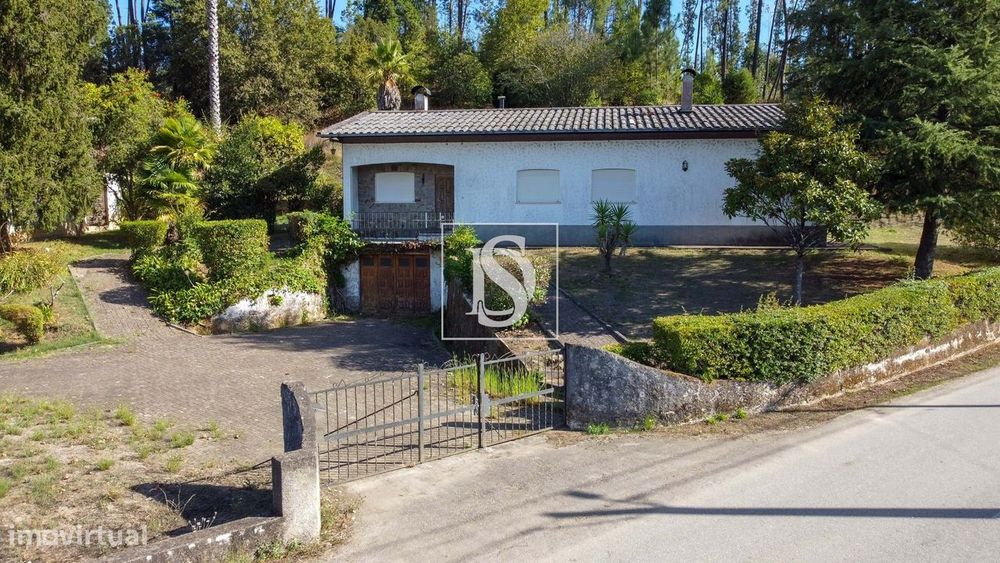 Quinta com 24.300m² em Vale de Açores, Mortágua