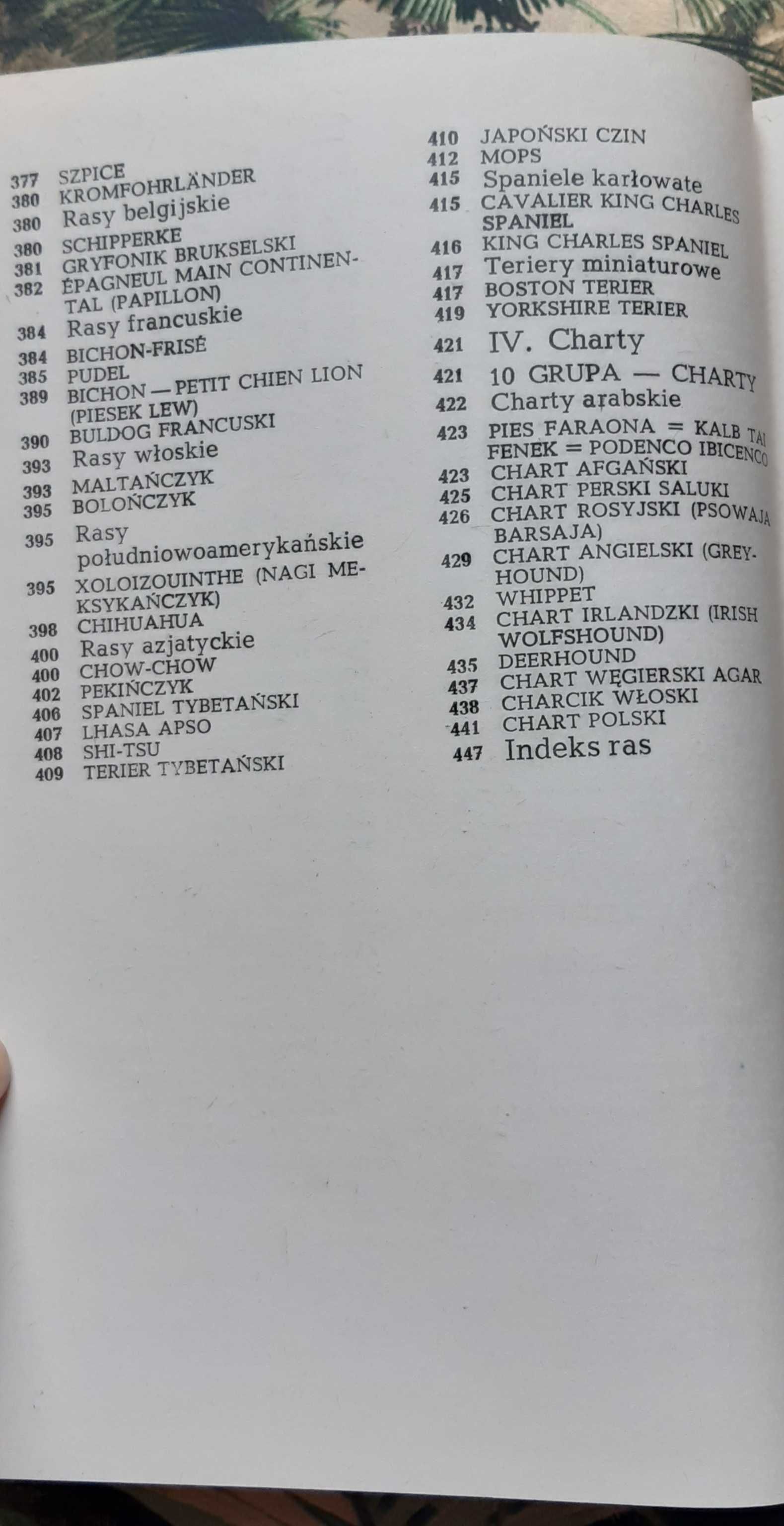 Książka "Psy rasy i wychowanie" Smyczyński