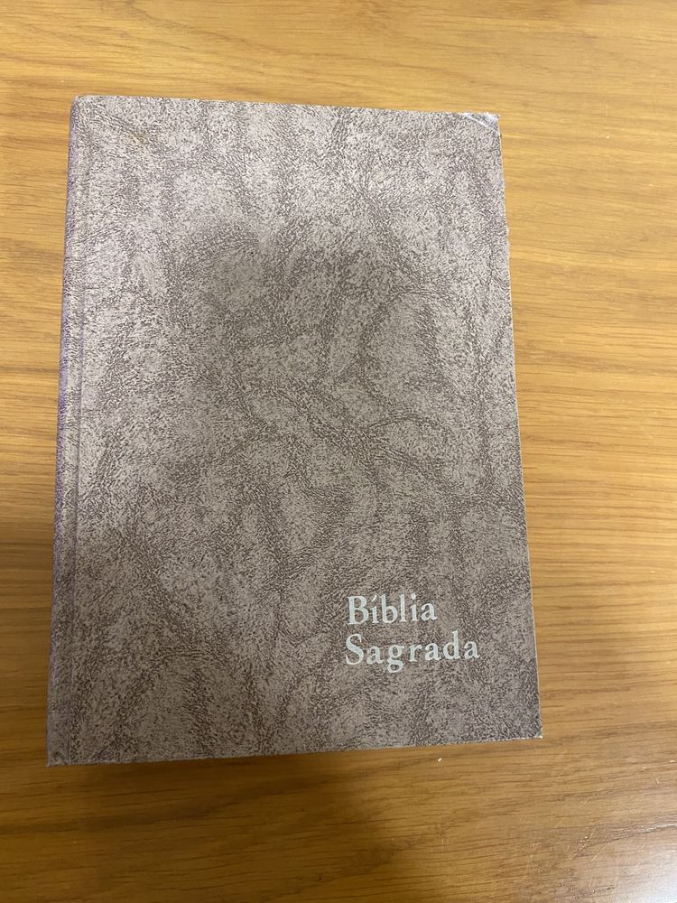 Biblia sagrada antiga