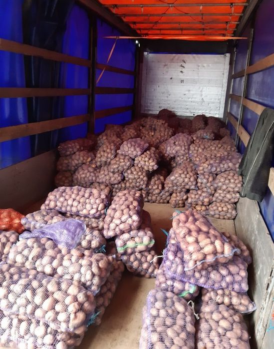 Вантажні перевезення Миколаїв та область— по всій Україні | 5т • 10т •