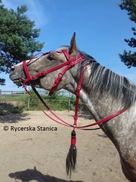 Ogłowia historyczne - medieval bridle