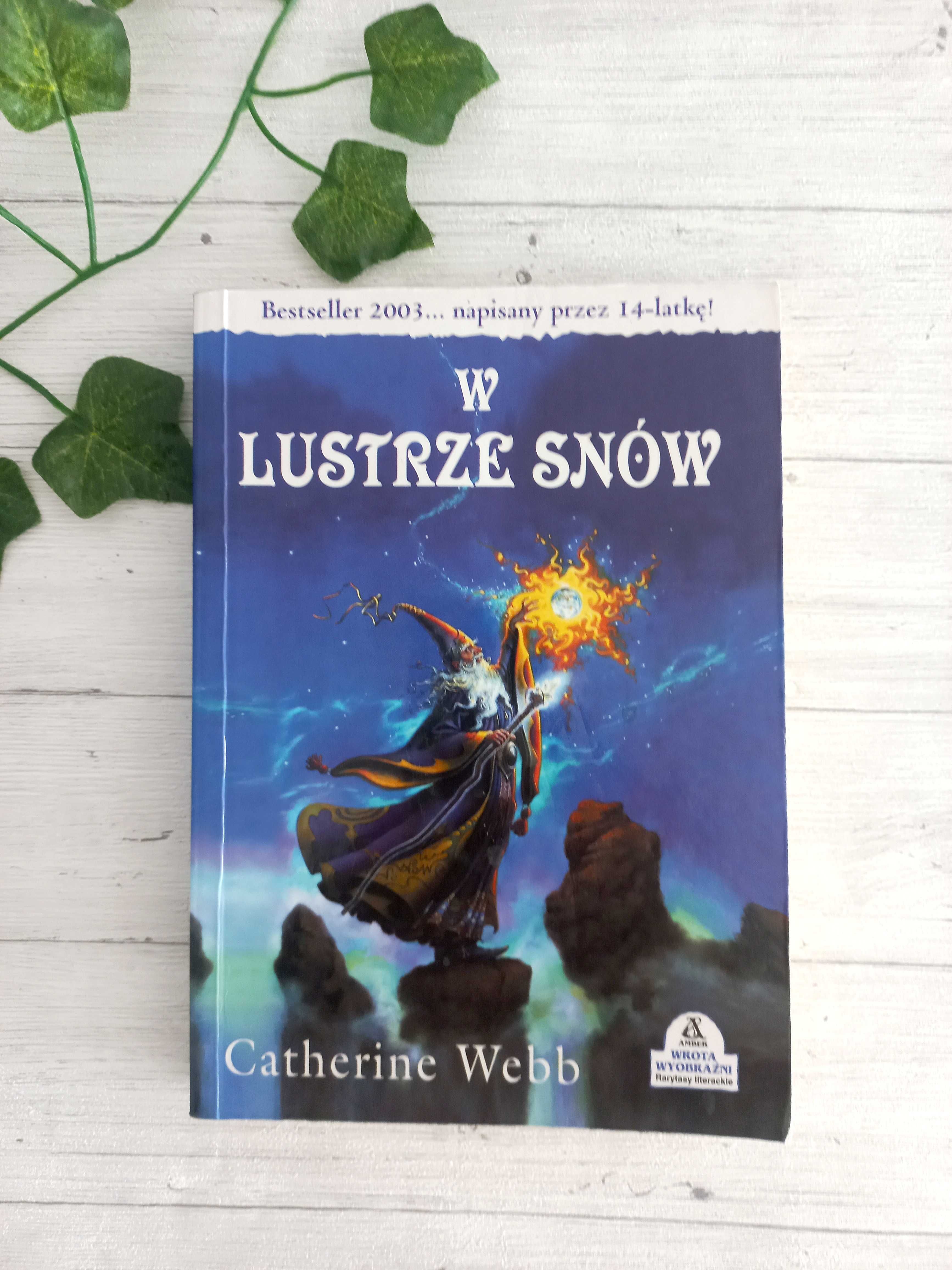 W lustrze snów Catherine Webb książka