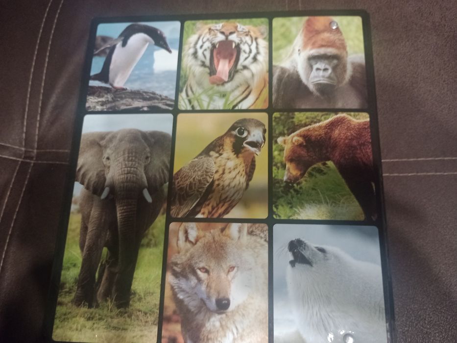 Продам  новую энциклопедию Мир дикой природы