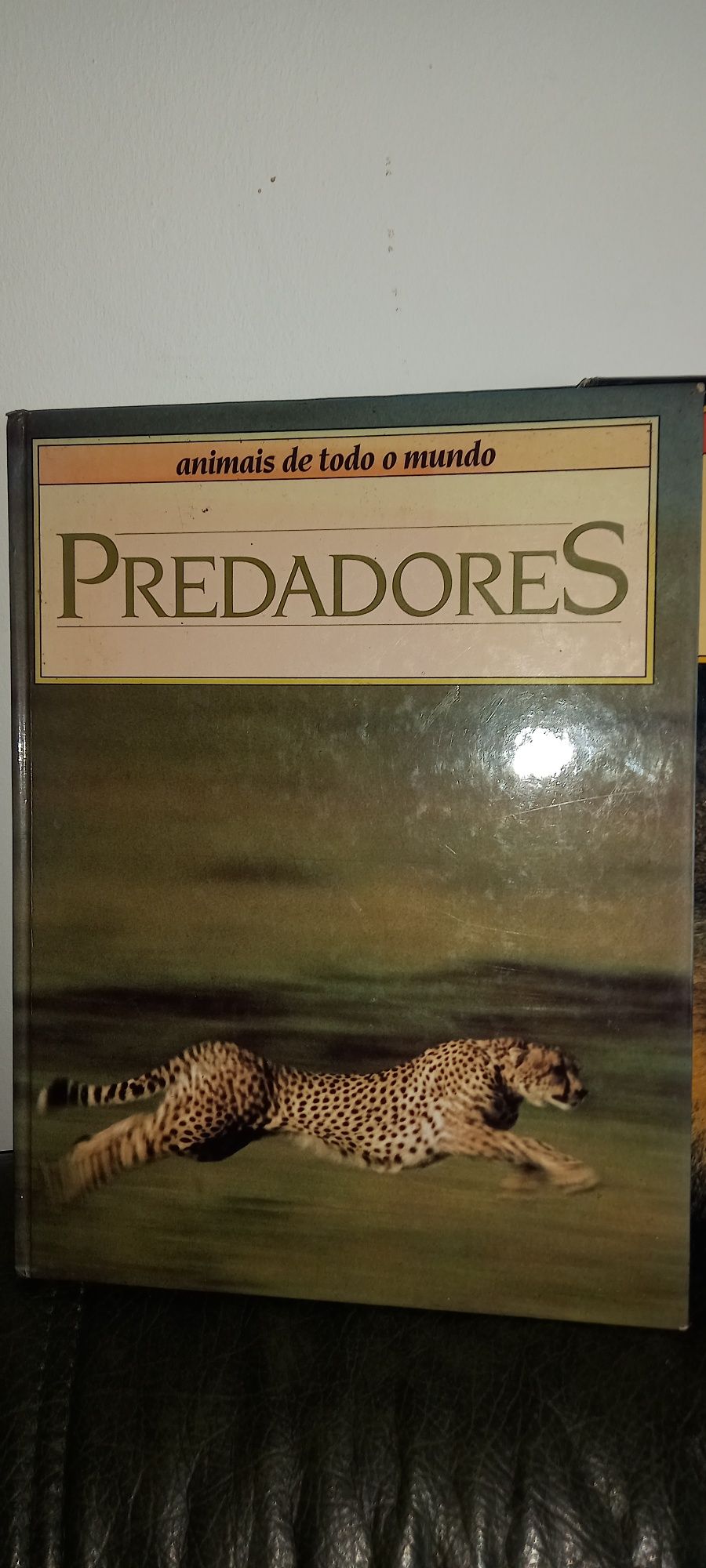 Coleções Animais de todo mundo