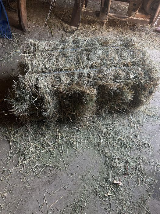Тюки сіна, 20 кг
