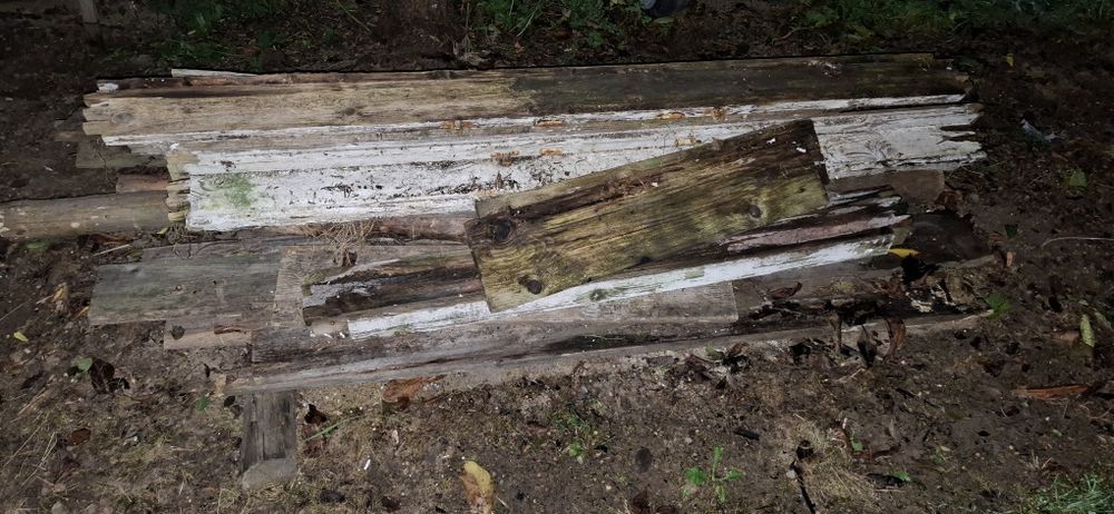 Drzewo opałowe mokre