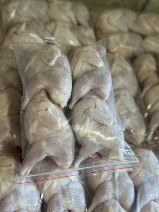 Мясо,Перепелине мясо,перепелині тушки,перепела