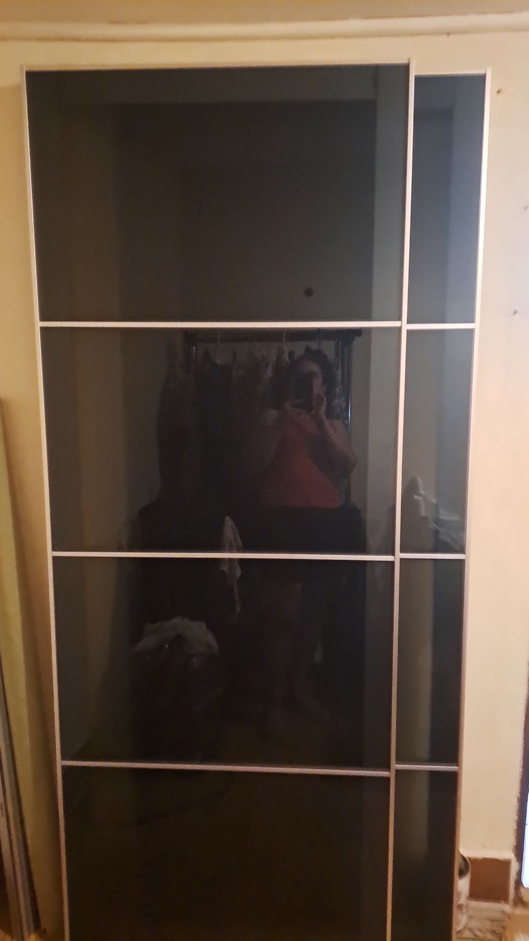 2 Portas de roupeiro  ikea pax UGGDAL