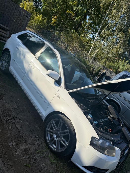 Audi A3 8p DSG bezwypadkowa