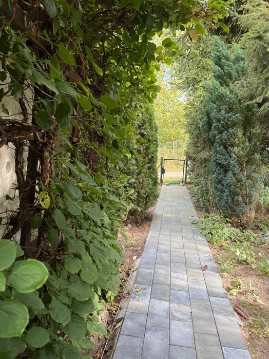 Działka ROD 467 m² pod lasem z domkiem całorocznym! ROD Bugaj