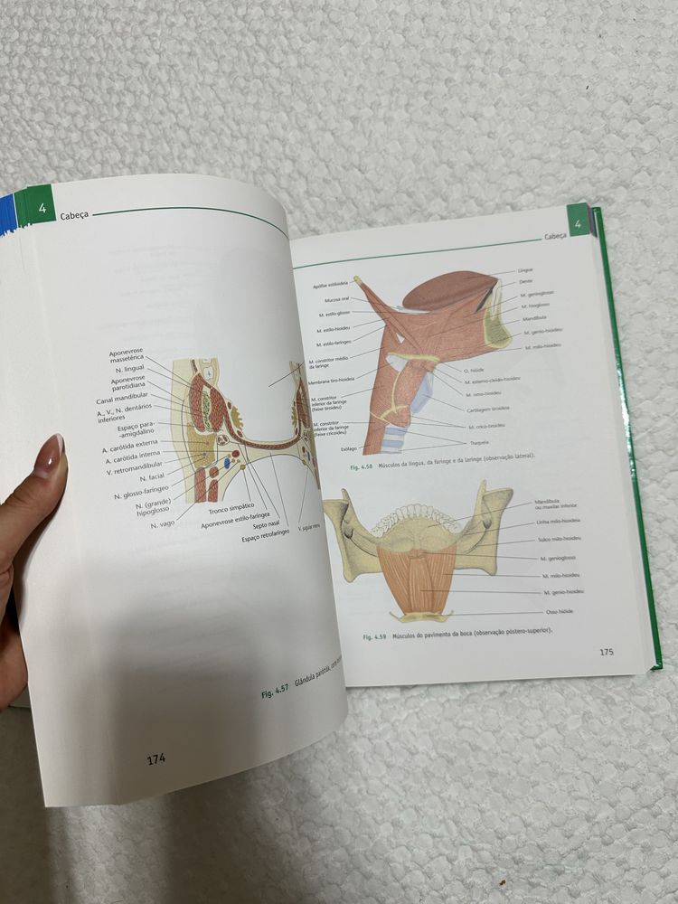 Atlas de Anatomia