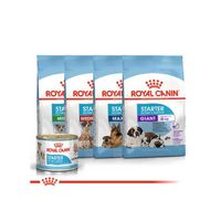 PORTES GRÁTIS - Royal Canin STARTER Mini, Medium, Maxi e Giant