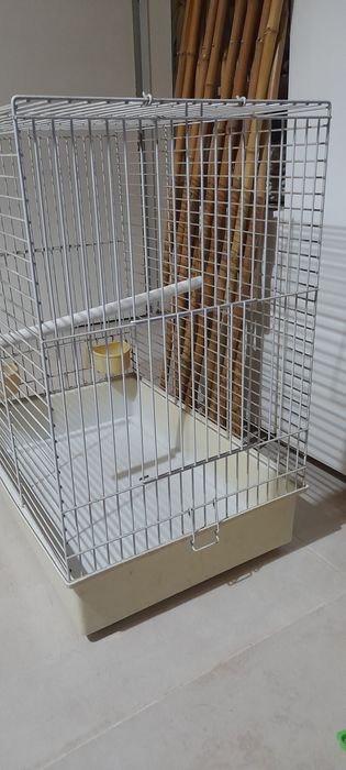 Gaiola passaro grande