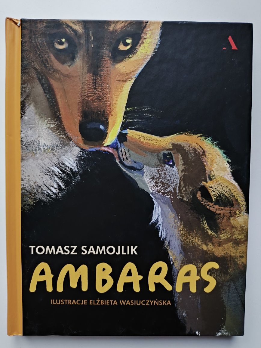 Ambaras Tomasz Samojlik