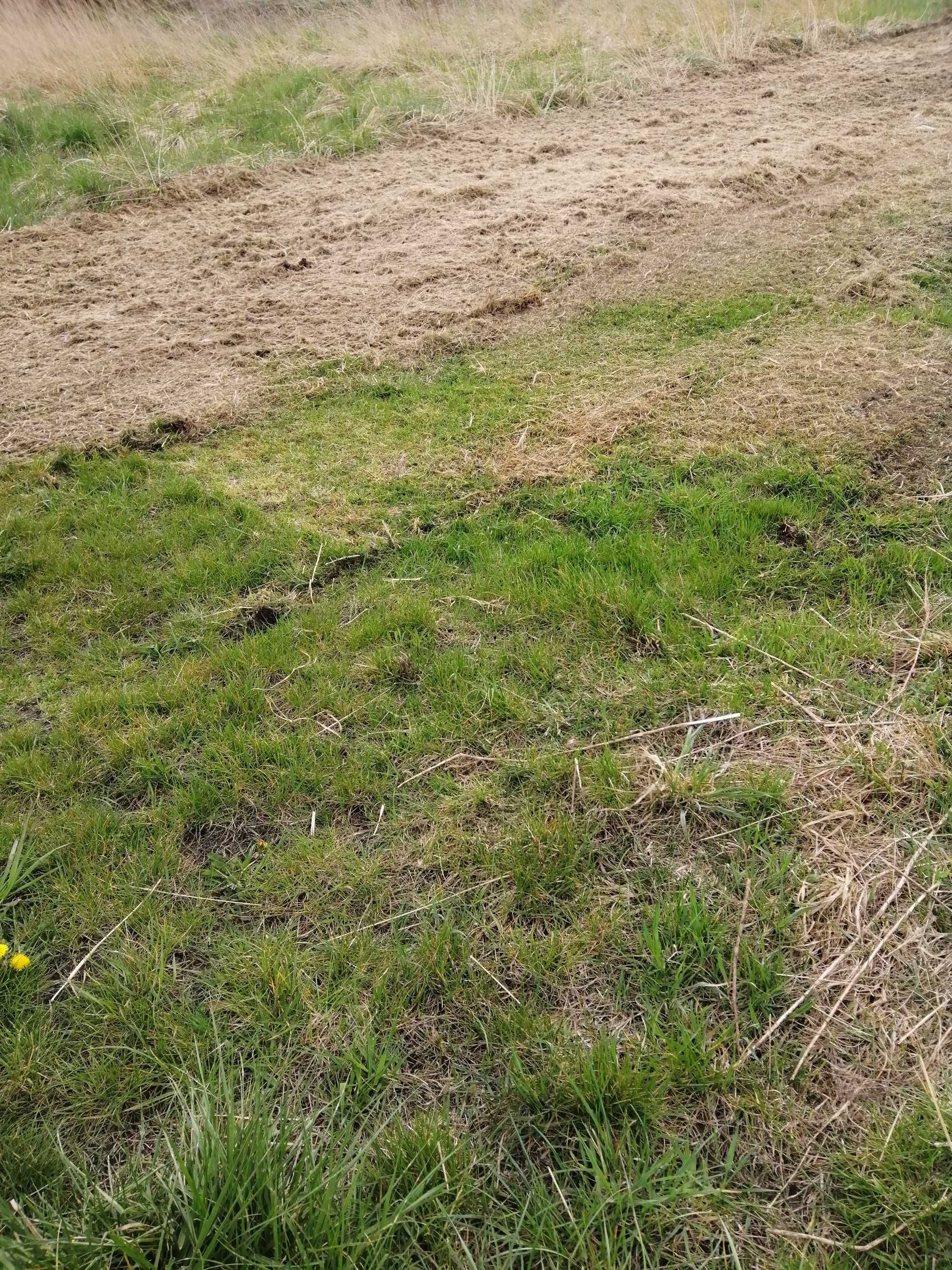 Minitraktorek, glebogryzarka separacyjna, mulczer, Mini ładowarka.