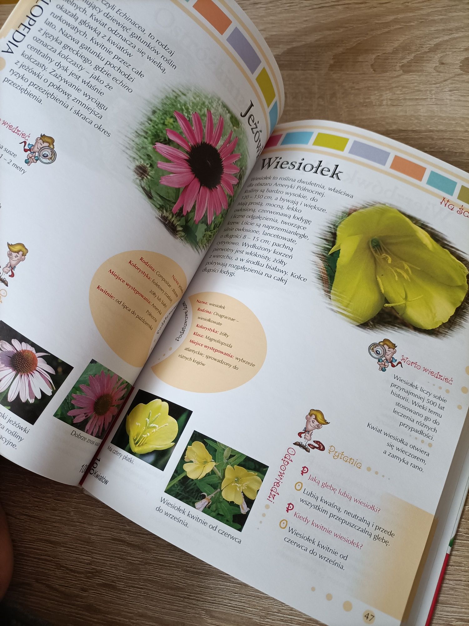 Encyklopedia 100 kwiatów