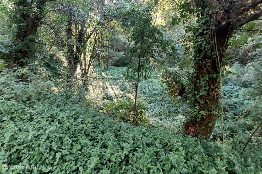 Terreno Rustico com 1490m2, em Gondomar, Porto