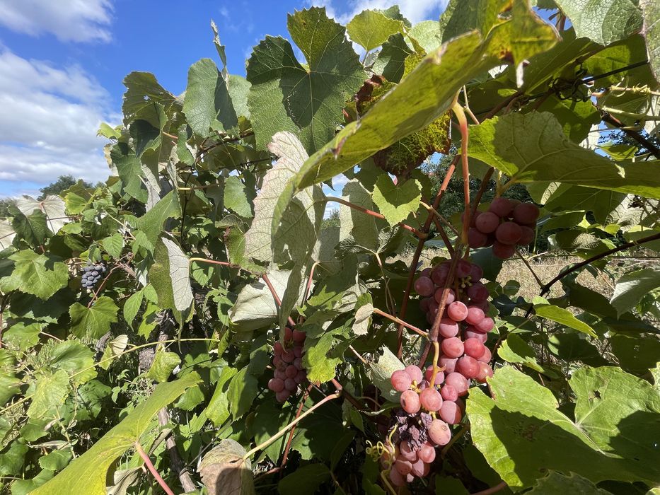 Продам будинок з басейном і підвалом на березі річки