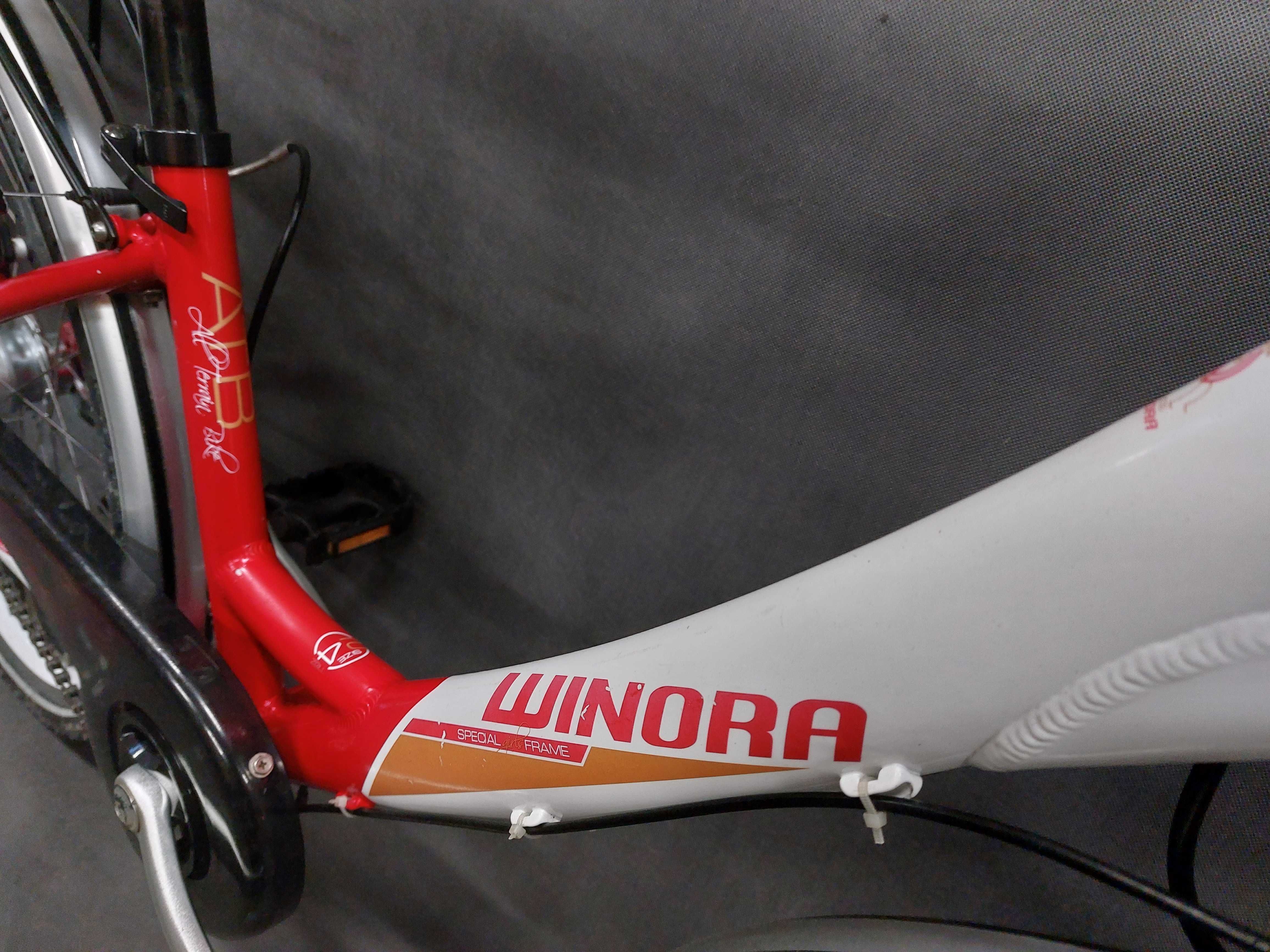 Rower dziecięcy Winora Ruff Rider_Alu_24"_Shimano_Nexus