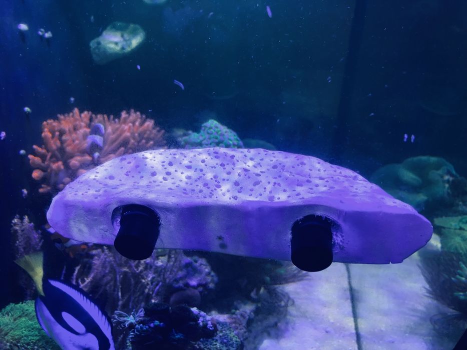 Półka skalna magnetyczna na korale 16x7cm akwarium morskie