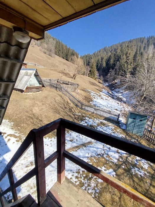 Будинок, земля, господарство в Карпатах, струмок, гори, краєвиди