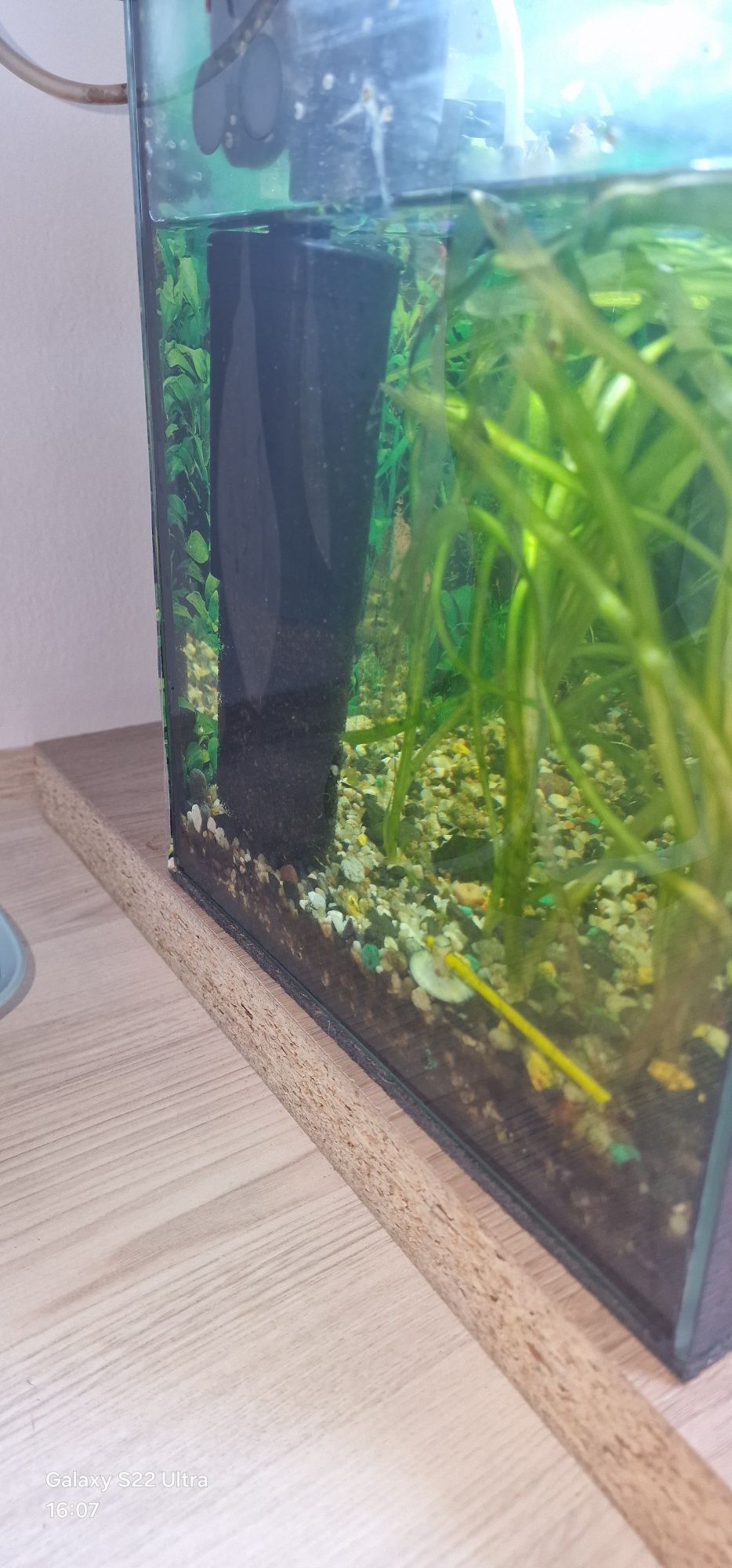 Akwarium  z akcesoria
