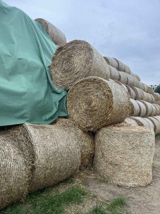 Słoma siano owies zboze transport warszawa