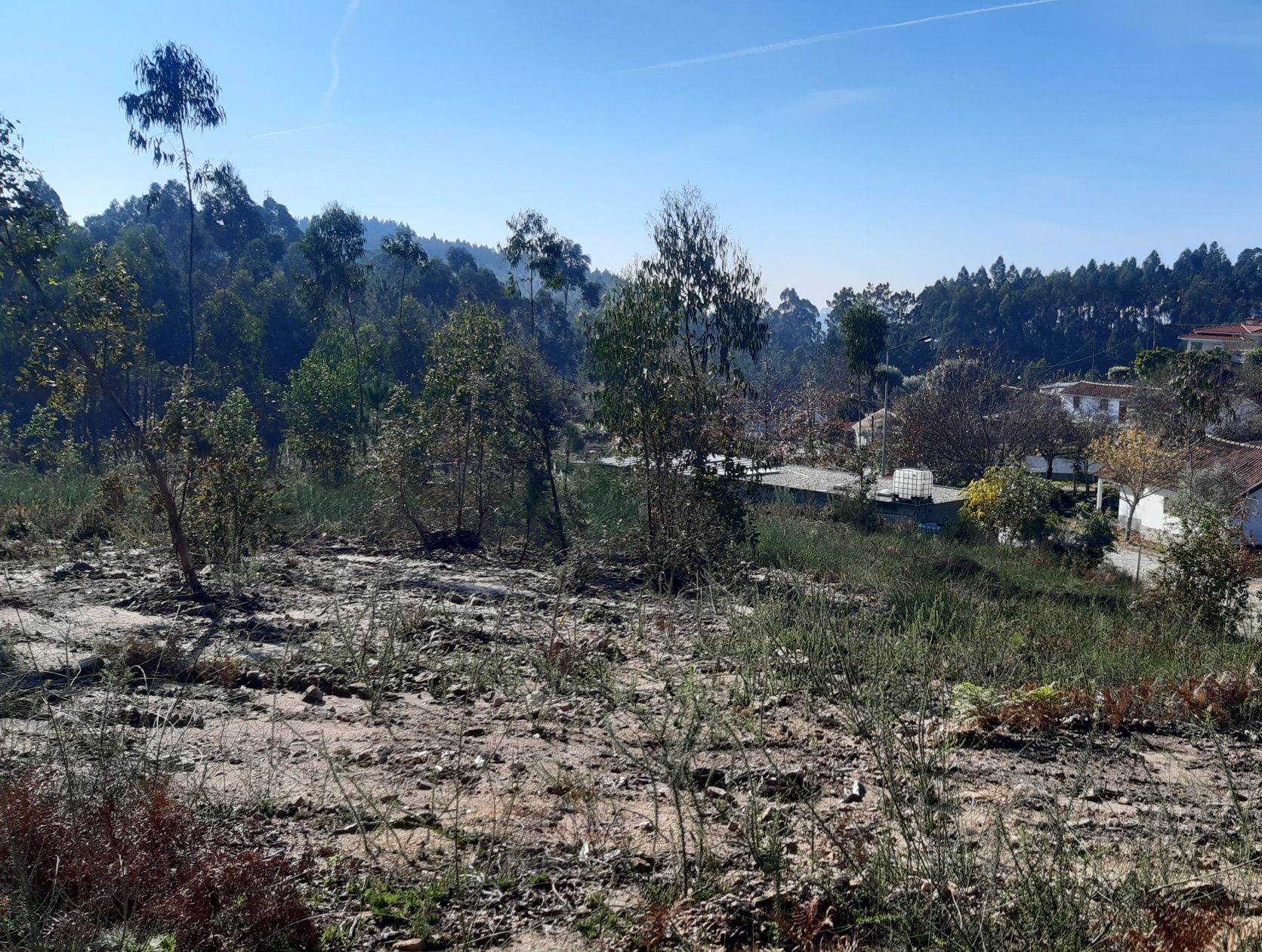 Terreno de construção para venda em Vila cova perto de Esposende