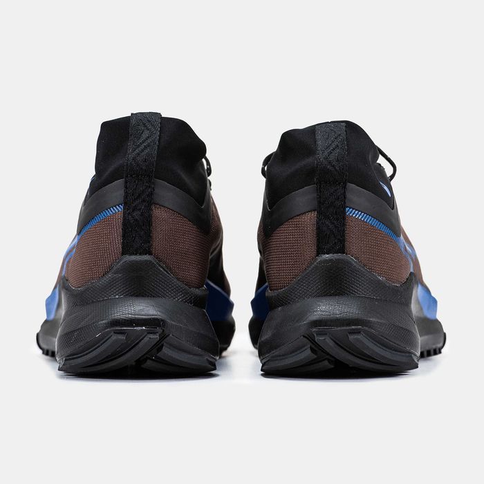 Кросівки Nike Pegasus Trail 4 Gore-Tex Premium Brown/Blue